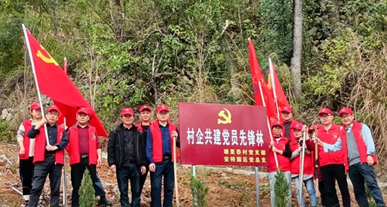 村企共建，共植先鋒林