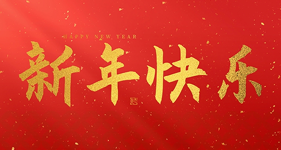 安特儀表集團(tuán)有限公司祝大家2025新年快樂！